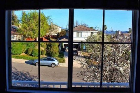 Window Cleaning